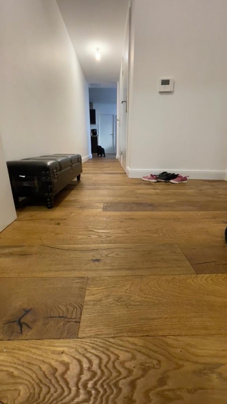 a31f62ba671b971ae1a366d2fe71182f