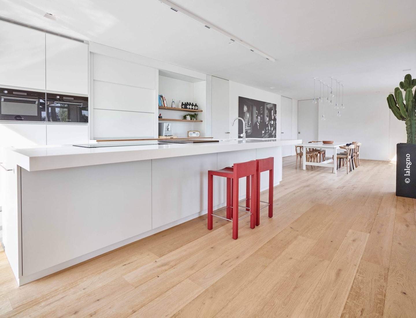 Cuisine ouverte design blanc et bois clair. Grand îlot central blanc, sol en parquet chêne, deux tabourets rouges. Cactus géant dans un pot marqué lalegno.