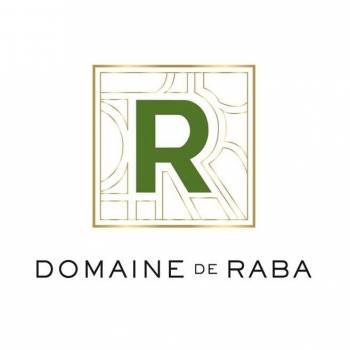 Domaine de Raba : Logo de luxe vert et or Logo du Domaine de Raba. Un grand R vert sur un fond à motif géométrique or, encadré. Le texte principal est DOMAINE DE RABA.