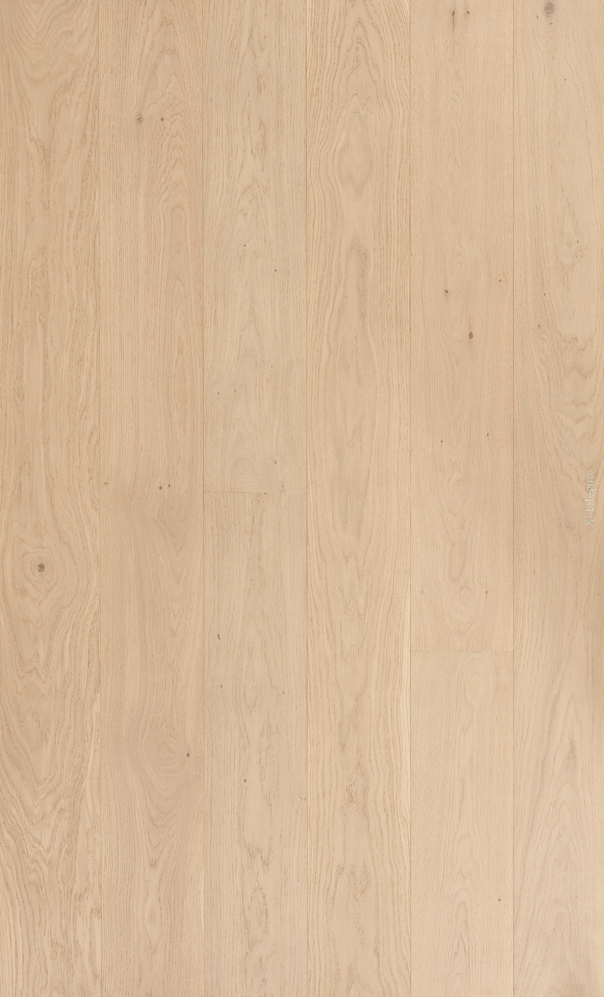 Plancher en bois de chêne blond naturel, lames larges à grain vertical. Texture douce et élégante pour design intérieur. © La Legna.