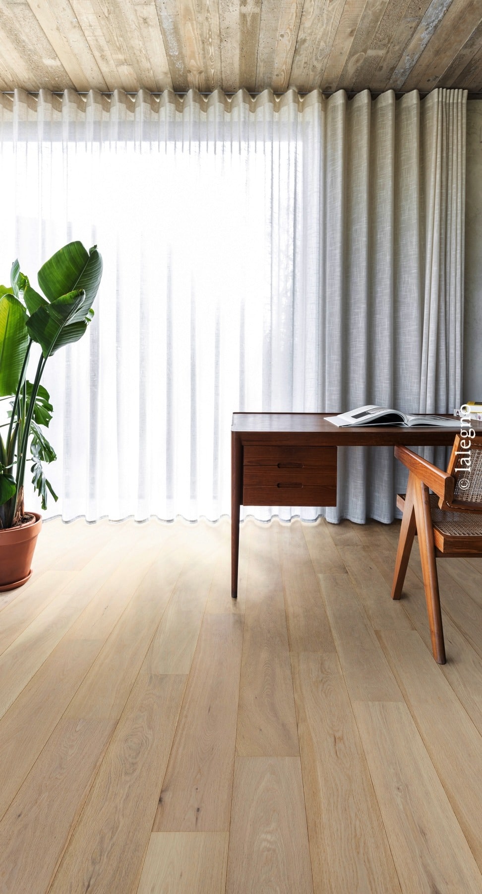 Parquet chêne clair, bureau moderne bois foncé, chaise cannage devant des rideaux vaporeux. Plafond brut en planches de bois.