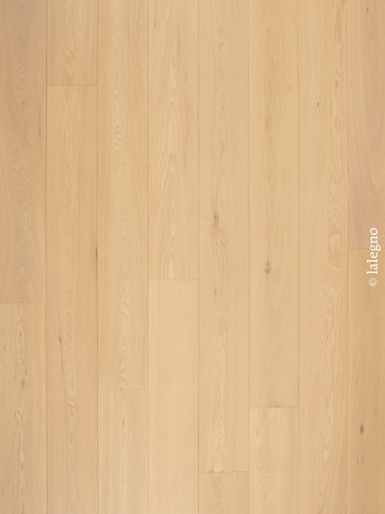 Parquet chêne clair naturel, lames larges et jointives. Grain du bois fin, finition moderne. © lalegno (watermark).