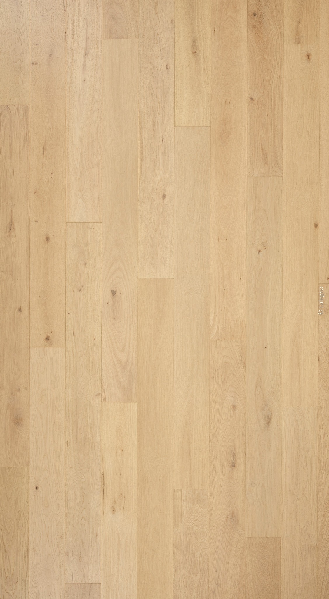 Parquet en chêne naturel clair, lames larges. Sol bois blond à grain fin, pose verticale décalée. Finition mate moderne.