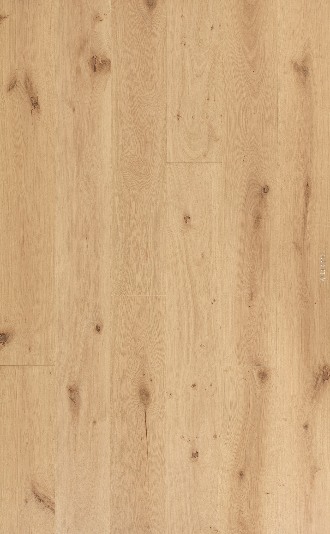 Parquet chêne clair à larges lames, finition naturelle, avec des nœuds visibles. Texture bois authentique pour sol intérieur. © Lalegno.
