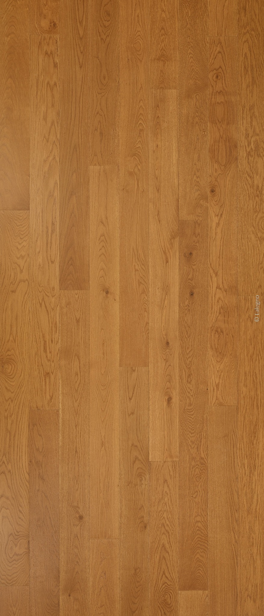 Parquet en chêne à larges lattes verticales, couleur brun miel doré. Détails du grain et des nœuds naturels.