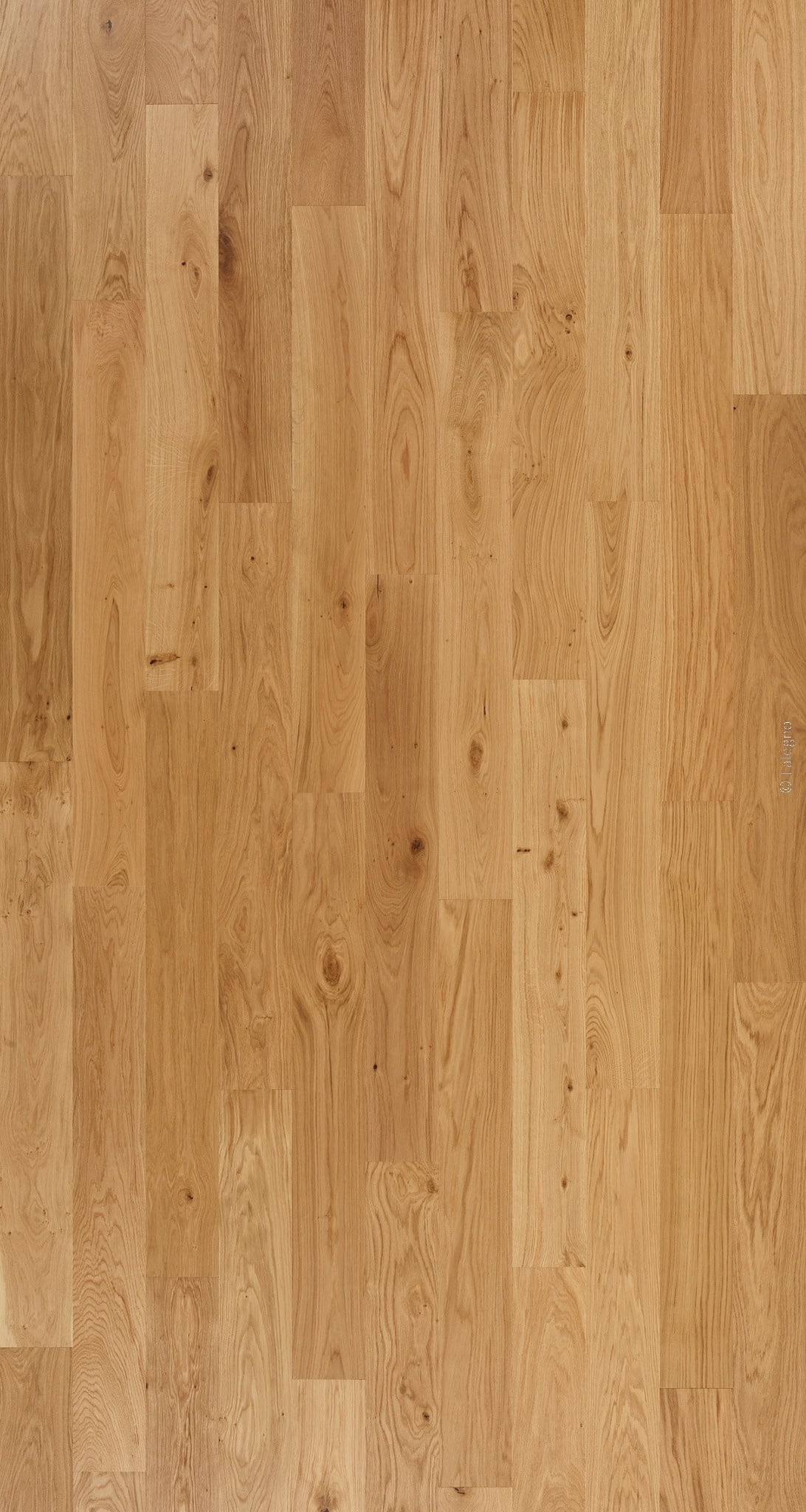 Parquet en chêne clair naturel (Falegno). Lames à plancher longues avec grain de bois et nœuds sombres pour un style rustique.
