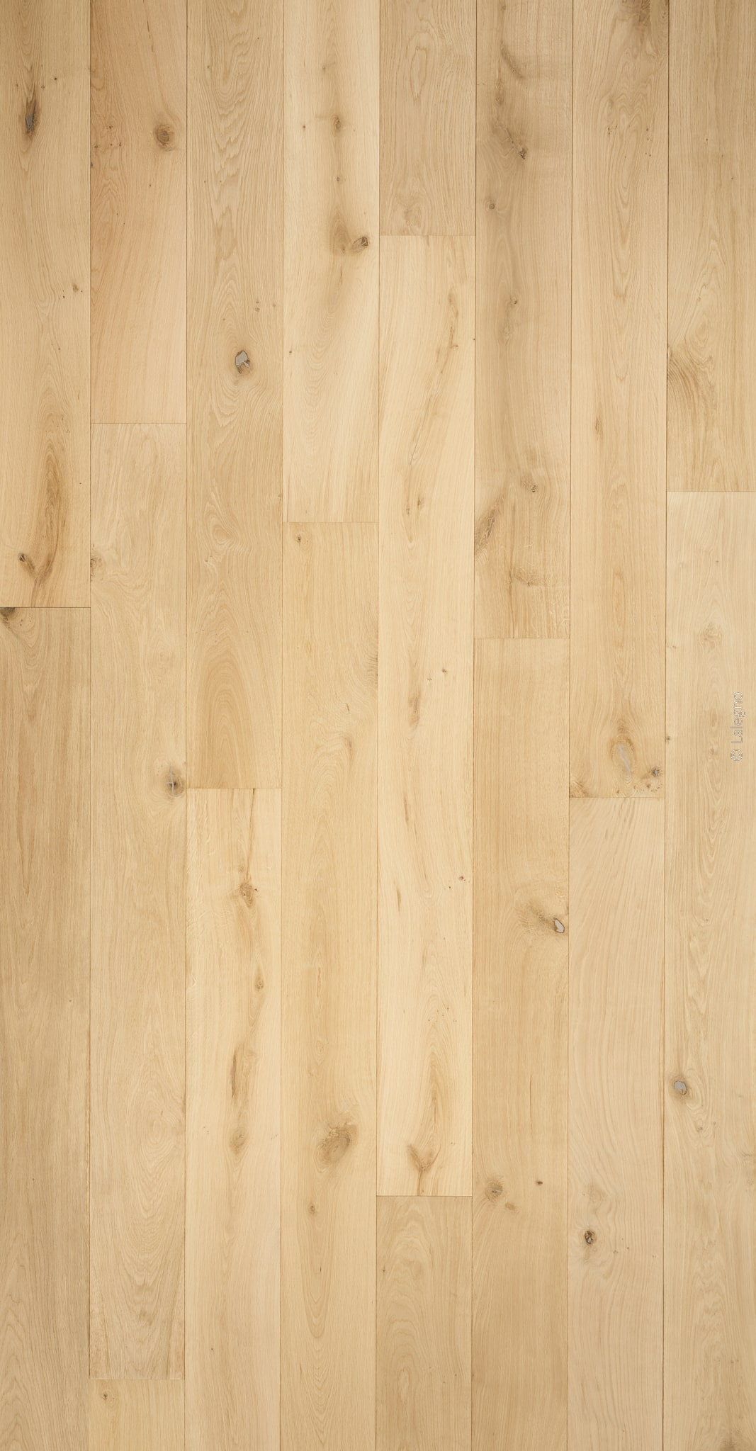 Parquet en chêne clair, finition naturelle. Longues lattes verticales avec des nœuds discrets et un grain prononcé. Produit Laleegno.