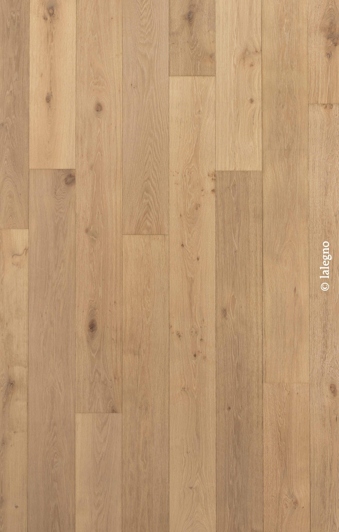 Sol en parquet chêne clair à longues lattes. Finition naturelle mate montrant grain et nœuds. Copyright © lalegno.