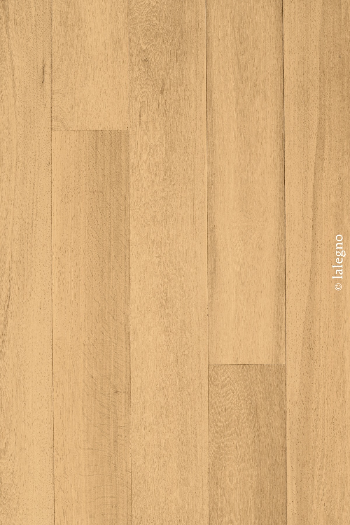 Revêtement de sol en bois clair, larges planches de chêne naturel posées longitudinalement. Grain fin.