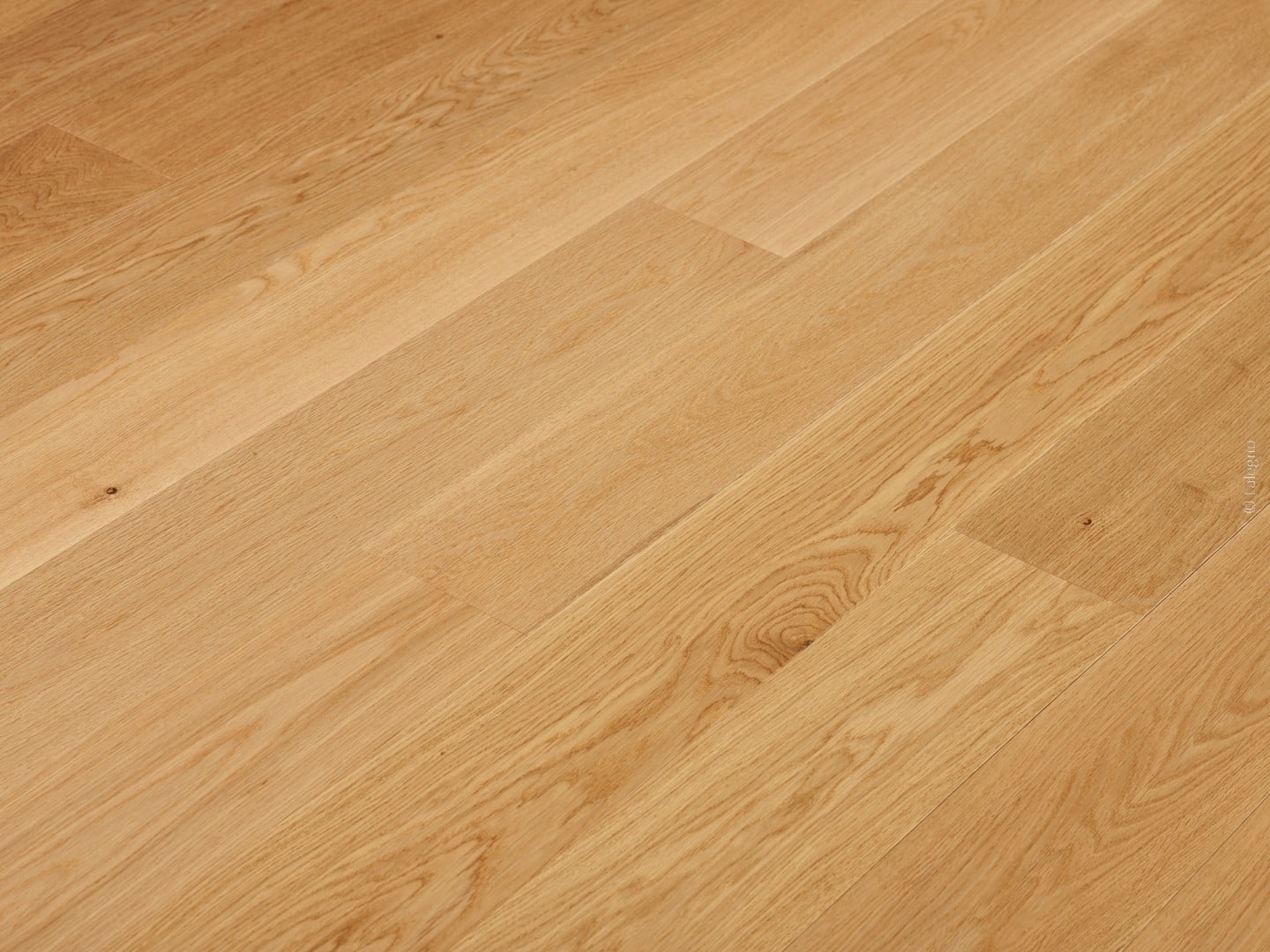 Parquet en bois de chêne clair posé en diagonale. Larges lattes avec grain naturel et légers nœuds.