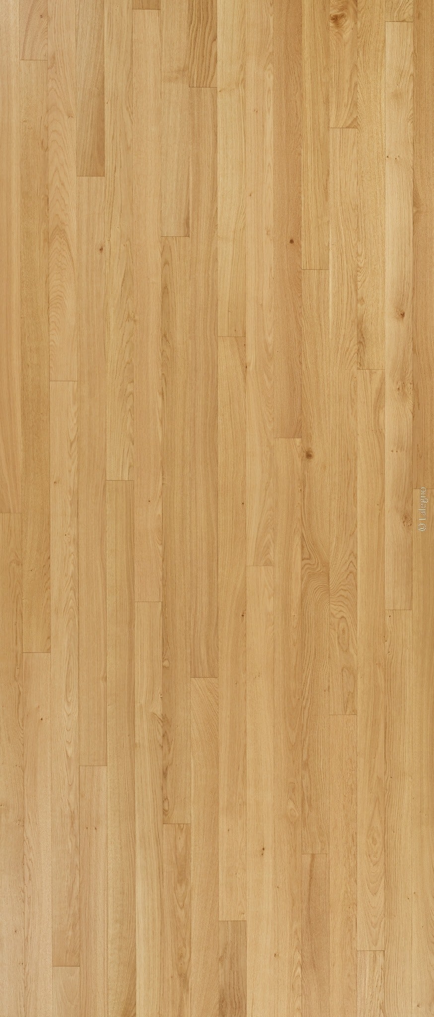 Parquet en chêne clair naturel. Plancher de bois à lames verticales jointées, montrant un grain fin et une finition miel.