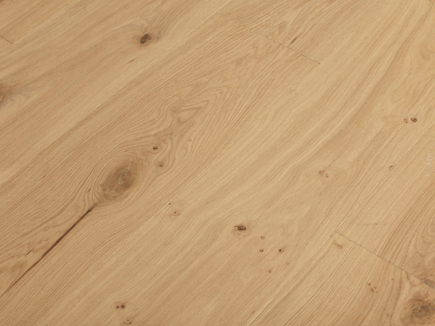 Gros plan sur un plancher de chêne clair à grain naturel. Les larges planches rustiques présentent plusieurs nœuds et une finition blonde mate.