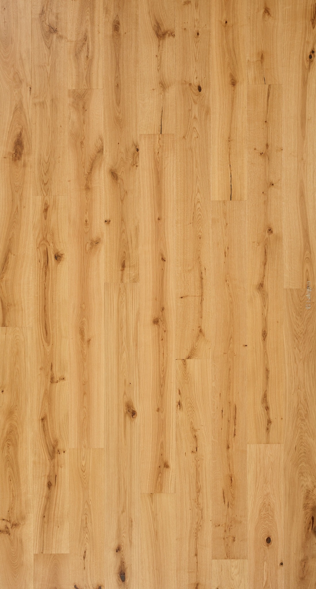 Plancher de bois clair rustique en chêne. Lames longues à grain vertical, riches en nœuds sombres et fissures naturelles.