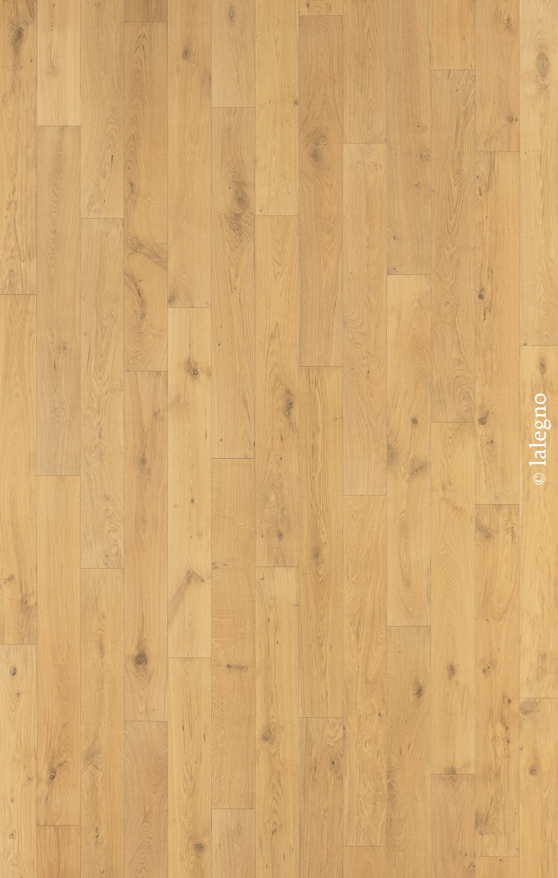 Parquet en chêne clair, planches larges à l'aspect naturel (nœuds). Sol bois miel.