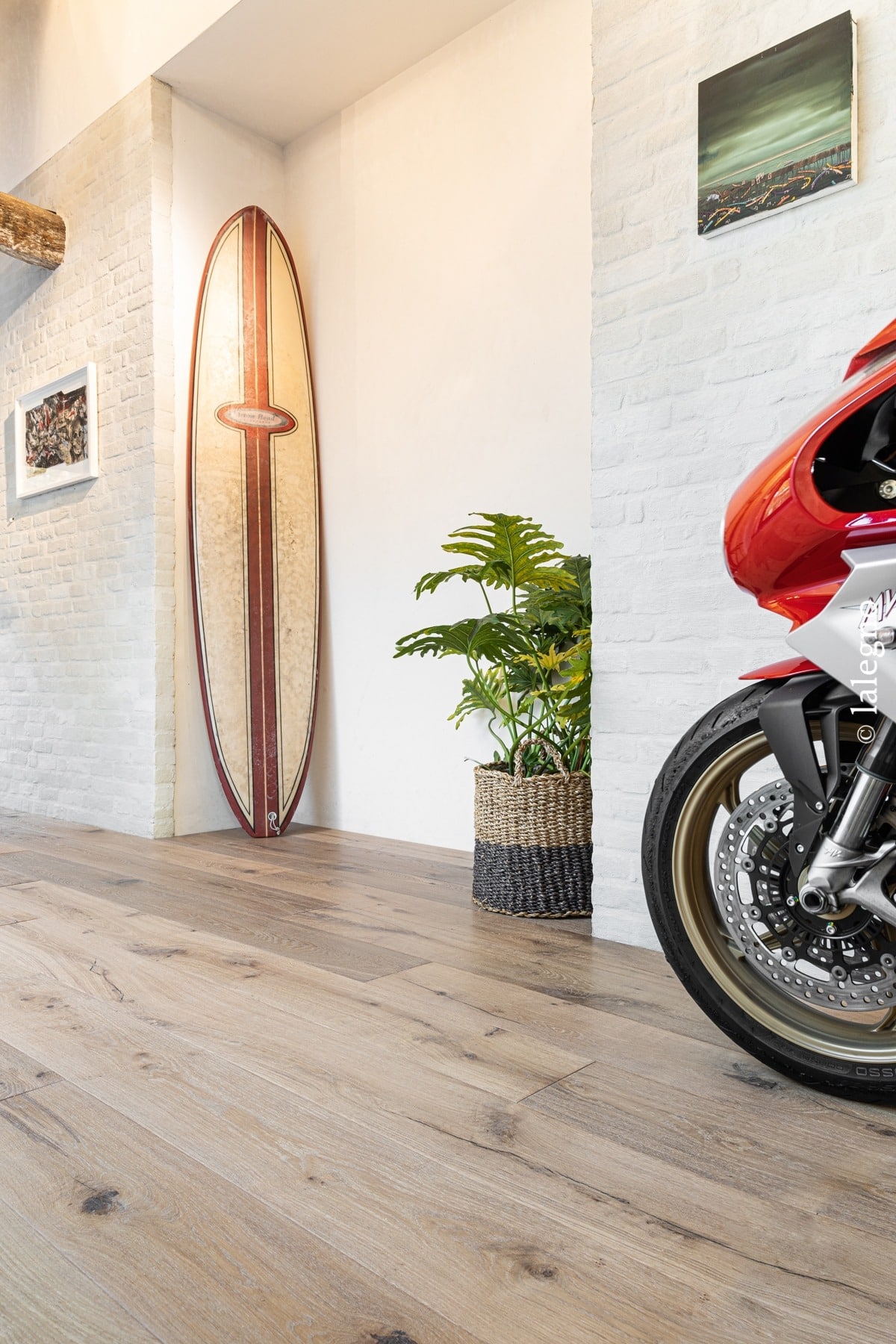 Plancher chêne clair. Décoration design industriel avec mur brique blanc, surf vintage, grande plante verte et roue avant de moto rouge.