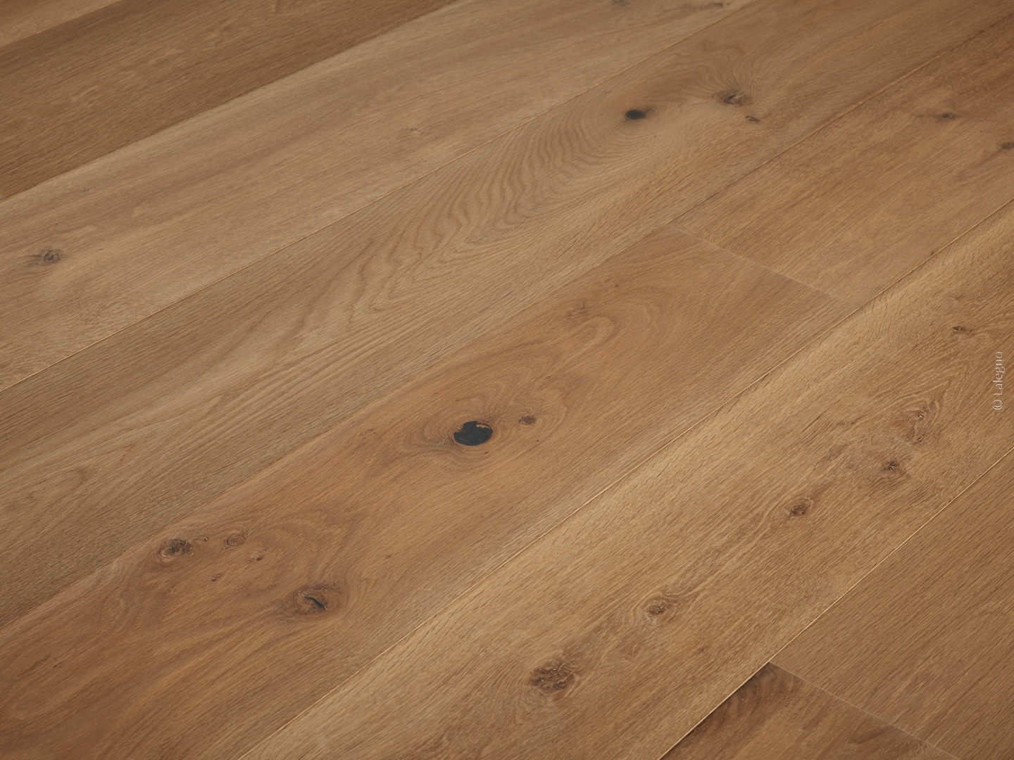 Plancher en chêne clair couleur miel, larges lames diagonales. Texture rustique avec gros nœuds sombres visibles. © Lalequo.
