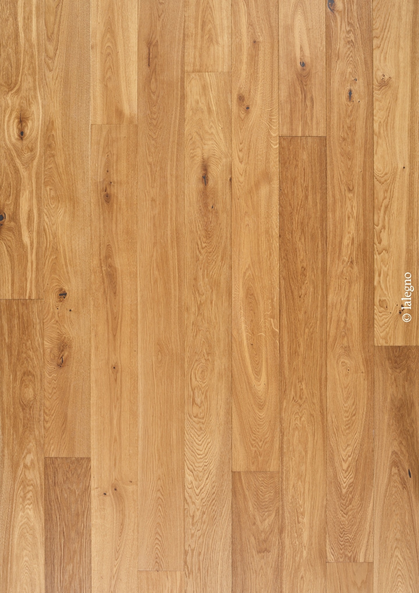 Sol en parquet de chêne rustique aux tons miel doré. Larges lames avec nœuds et variations de grain. Marque visible : talegno.