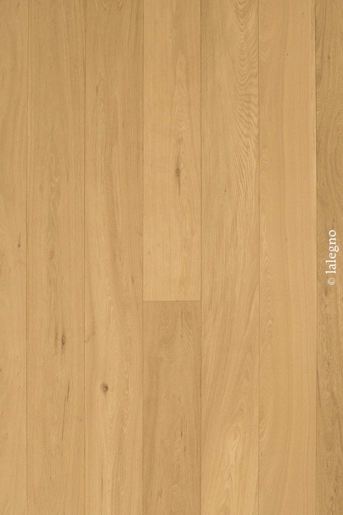 Parquet en bois de chêne clair à larges lames verticales, finition naturelle, grain subtil. Texture de sol chaleureuse.
