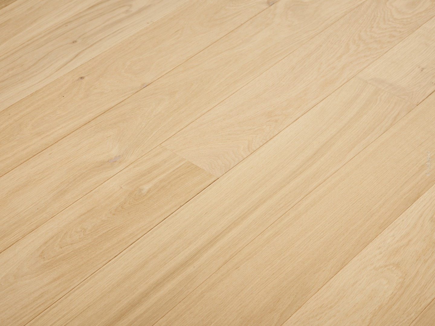 Parquet chêne clair naturel, lames larges. Pose moderne en bois blond. Grain fin et faible variation pour un sol lumineux.