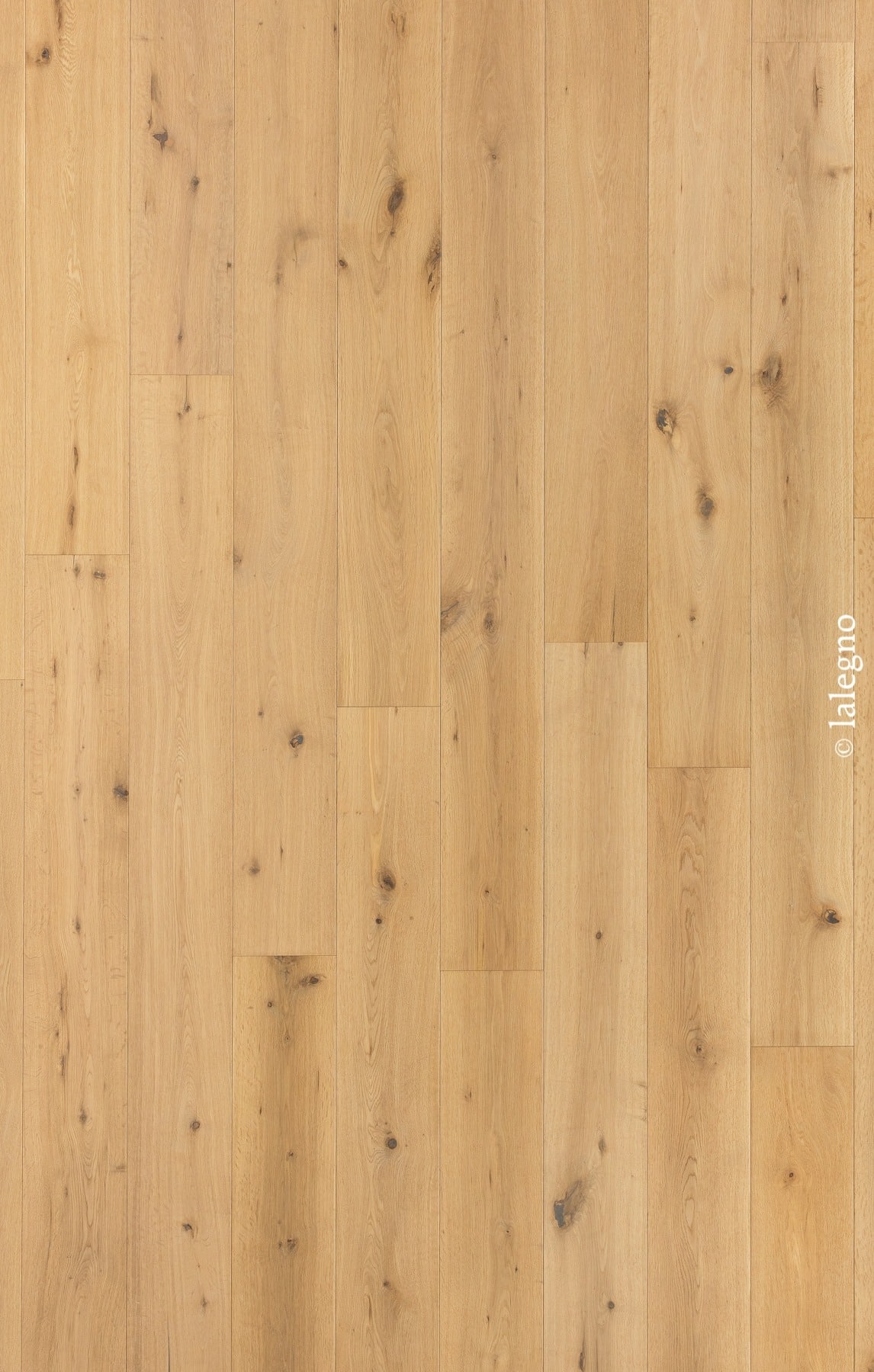 Texture de parquet en chêne naturel à lames larges. Le bois clair présente des nœuds rustiques et un grain prononcé. Filigrane © lalegno.