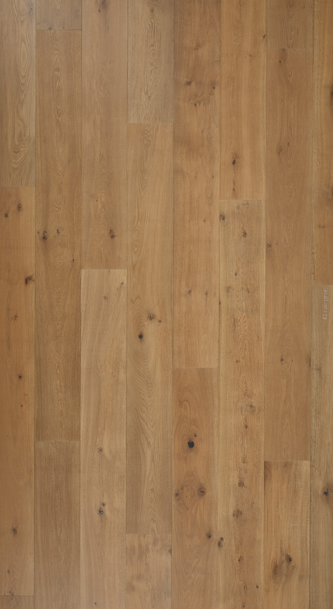 Plancher en chêne naturel, lames larges au grain visible et nœuds sombres. Couleur bois doré, pose irrégulière. Watermark Falegnamo.