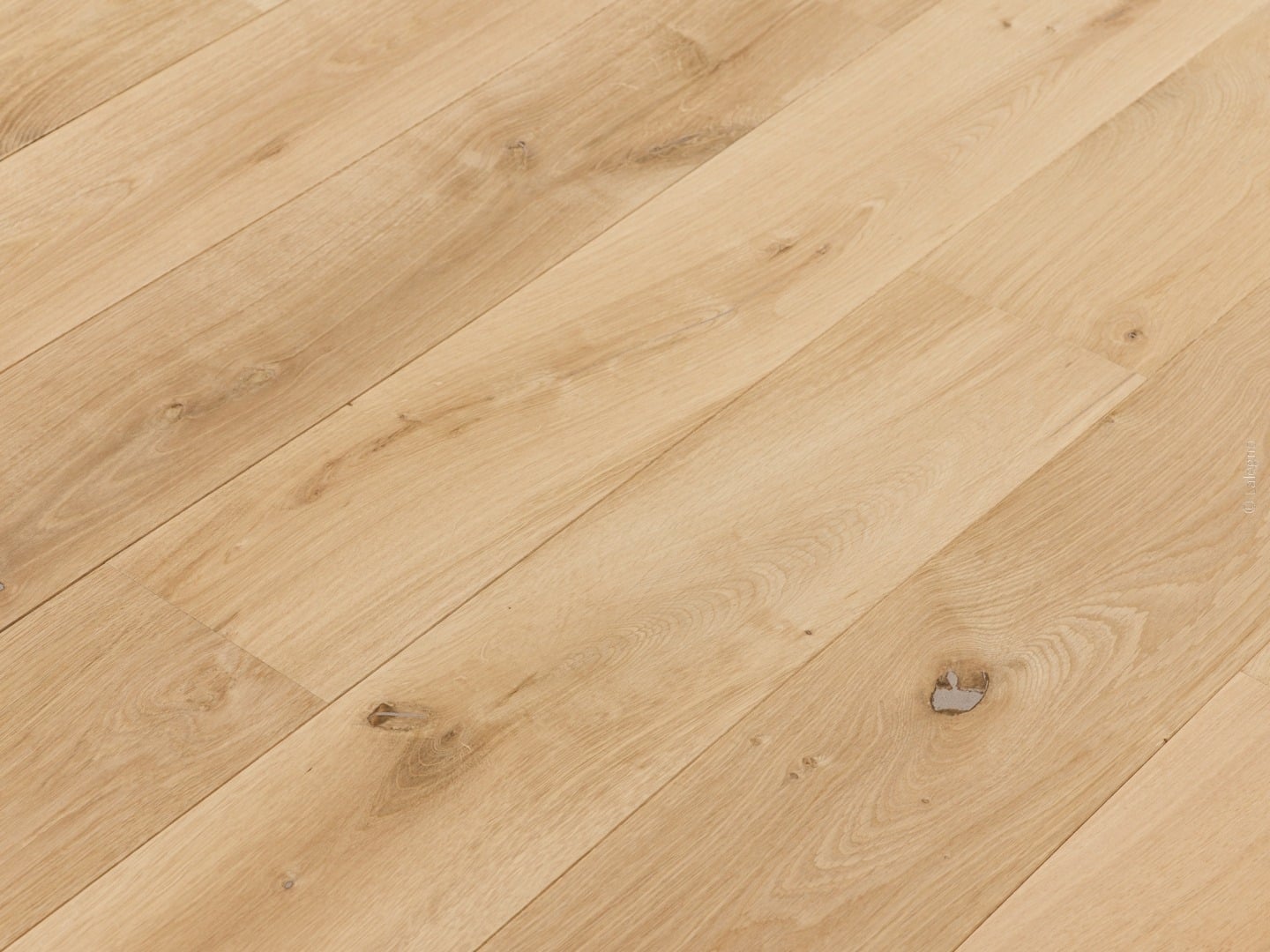 Parquet en chêne naturel blond, composé de longues planches brossées posées en diagonale, avec des nœuds rustiques visibles.