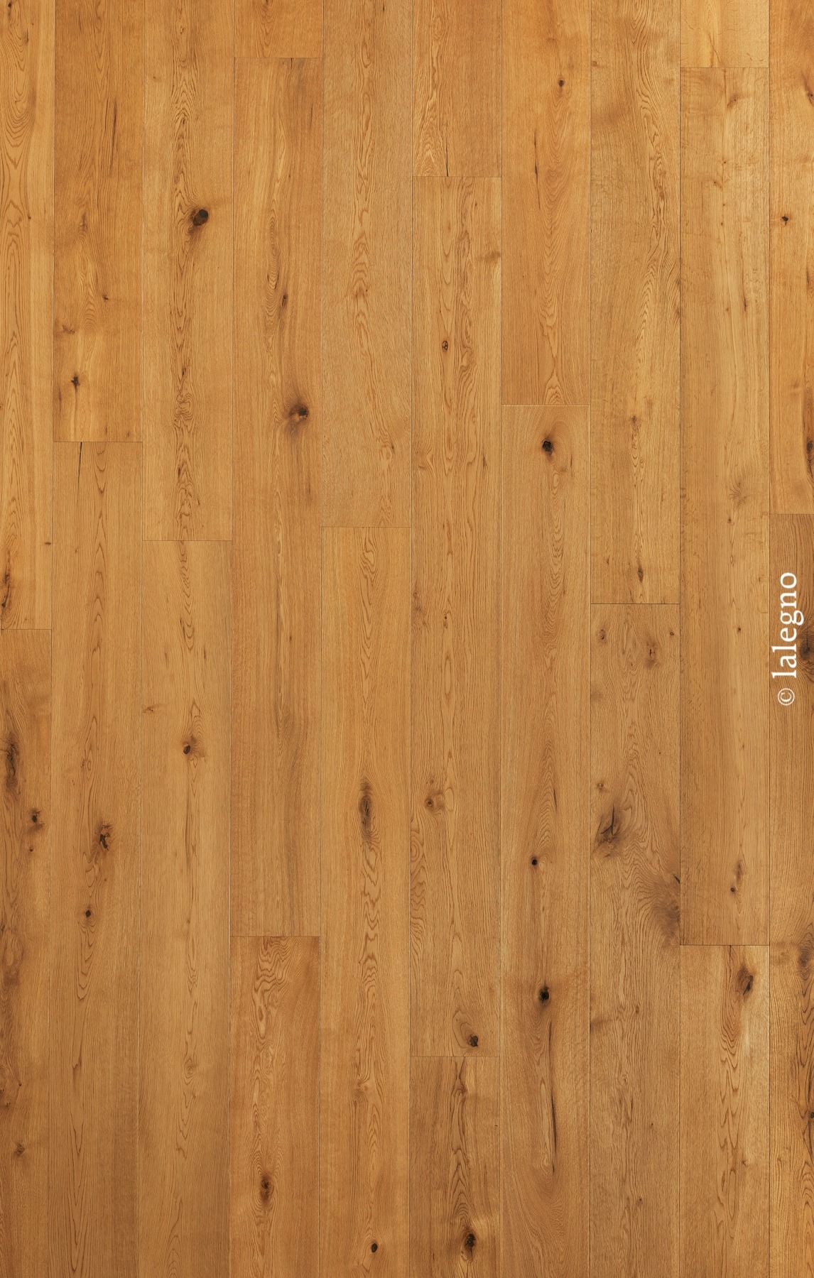 Parquet de chêne rustique doré, présentant des nœuds marqués et des variations de grain naturel. Planches larges. © lalegno.