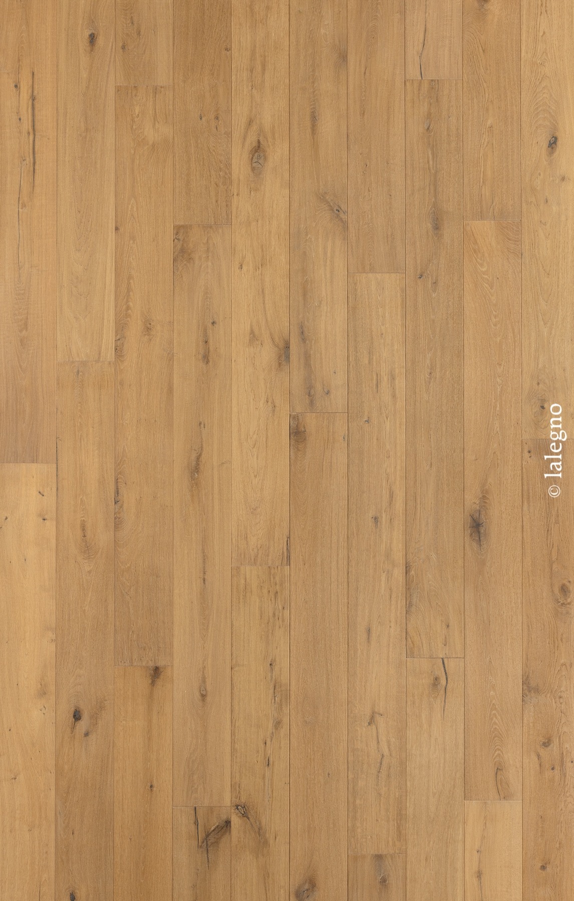 Parquet chêne rustique couleur miel. Lames longues naturelles avec nœuds sombres. Copyright : lalegno.