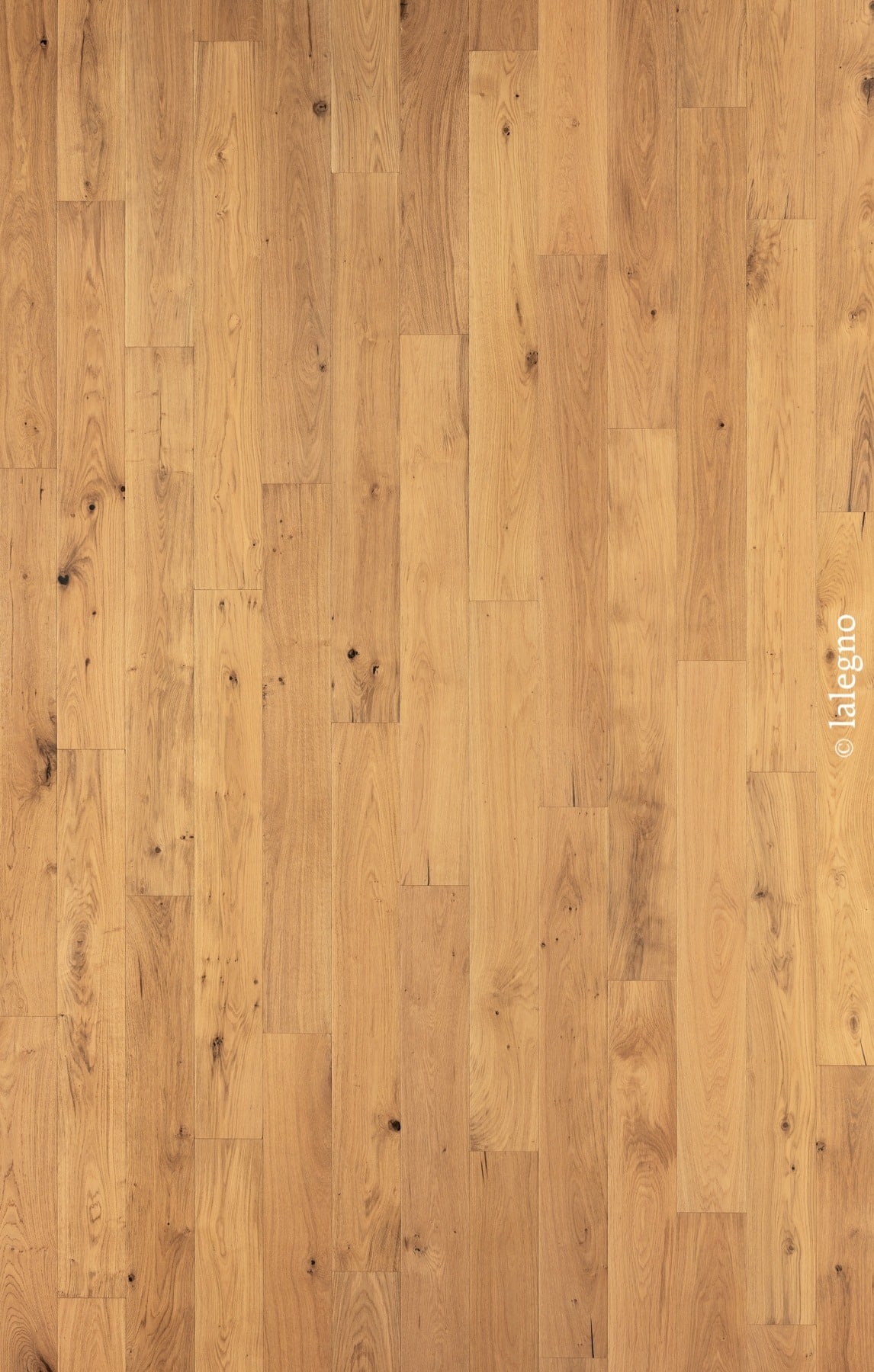 Plancher en longues lattes de chêne clair, style rustique. Grain du bois naturel et nœuds sombres visibles.