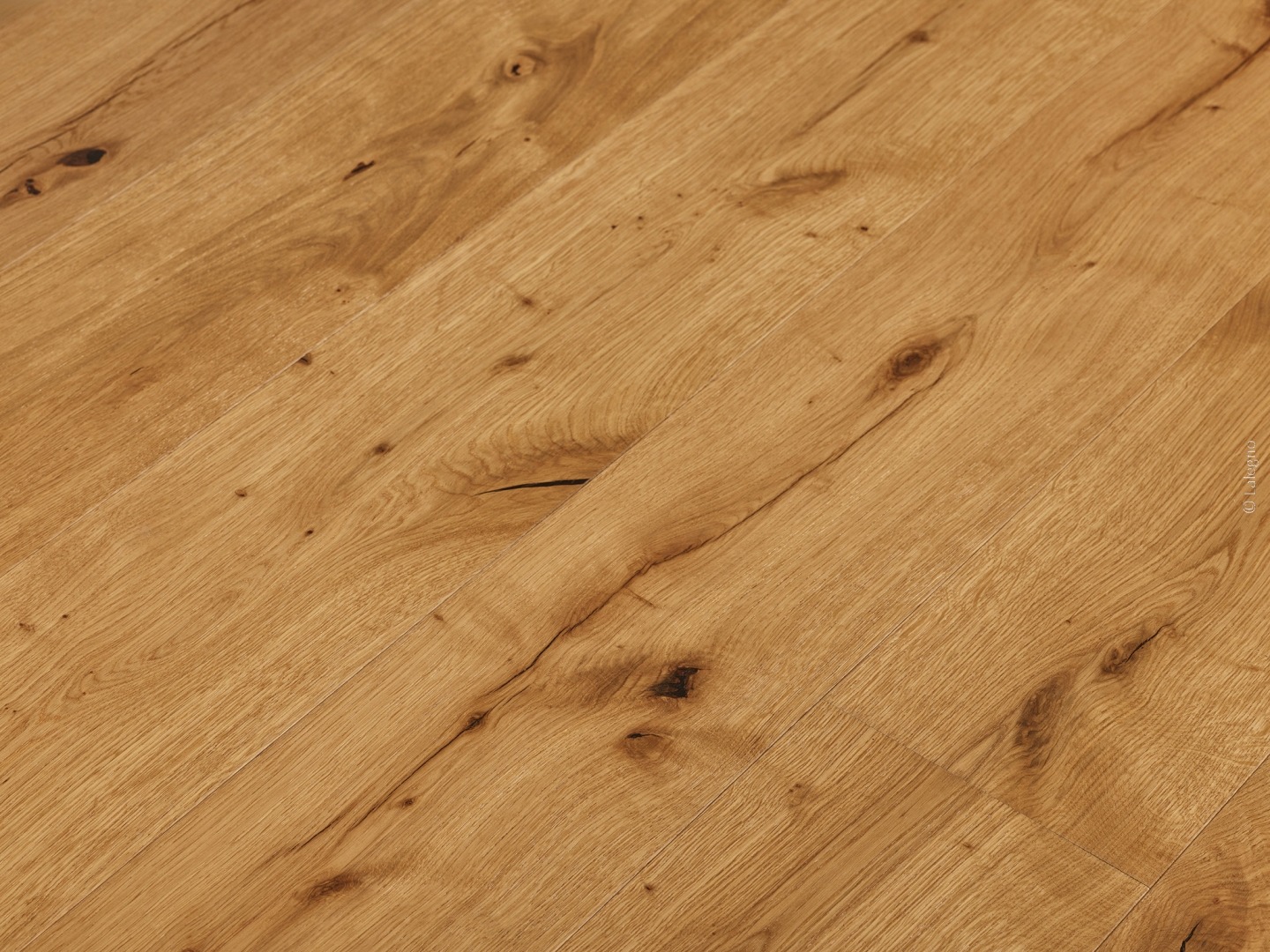 Parquet chêne rustique, couleur miel. Lames posées en diagonale, gros plan sur le grain naturel, les nœuds foncés et les fissures caractéristiques du bois.