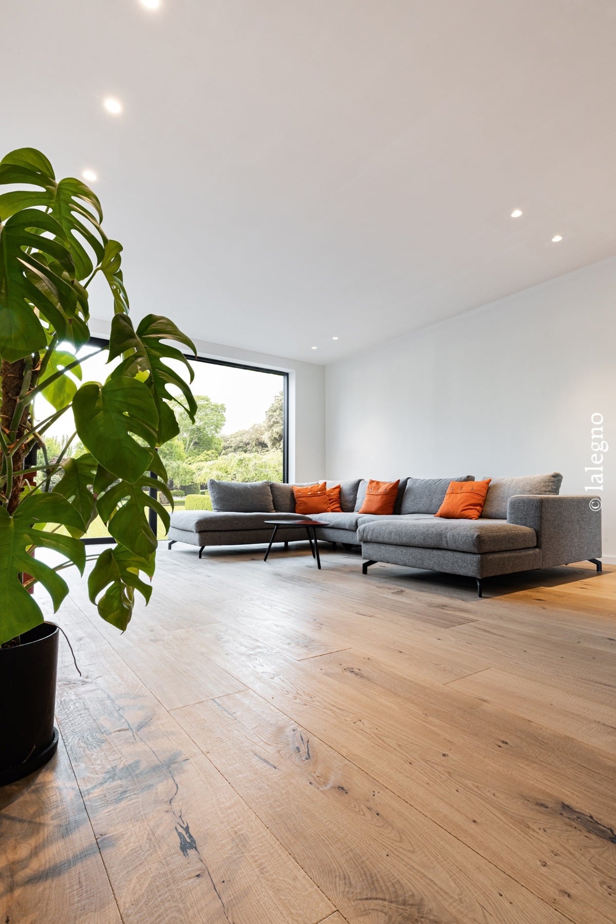 Salon moderne avec parquet en chêne clair. Grand canapé sectionnel gris et coussins orange, face à une large fenêtre et une plante Monstera.