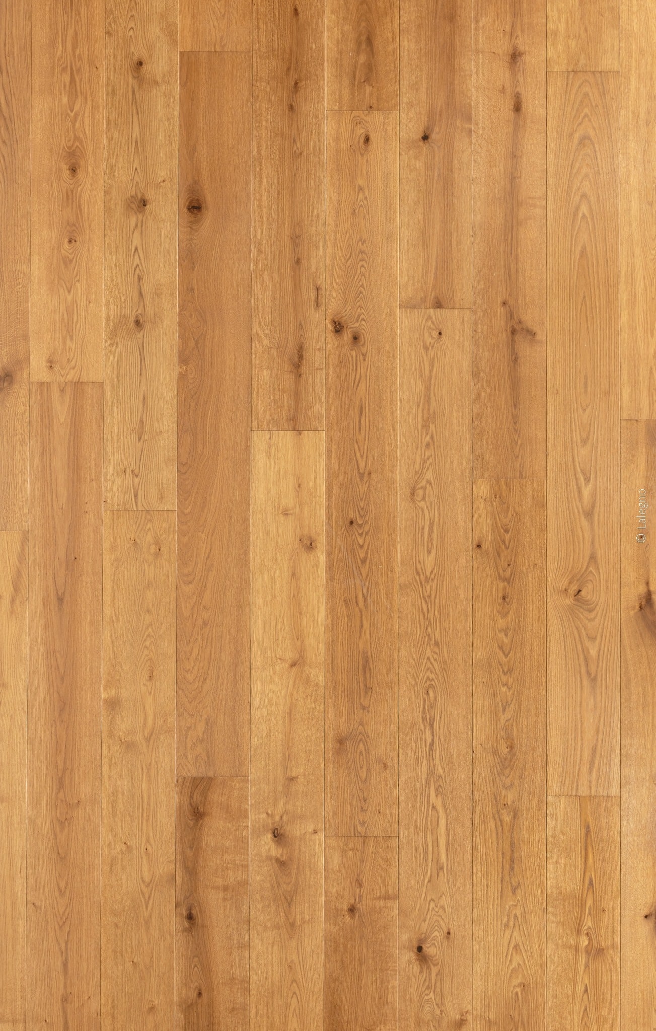 Texture de parquet en chêne massif naturel. Lattes longues de couleur miel doré, avec veinage riche et nœuds caractéristiques du bois.