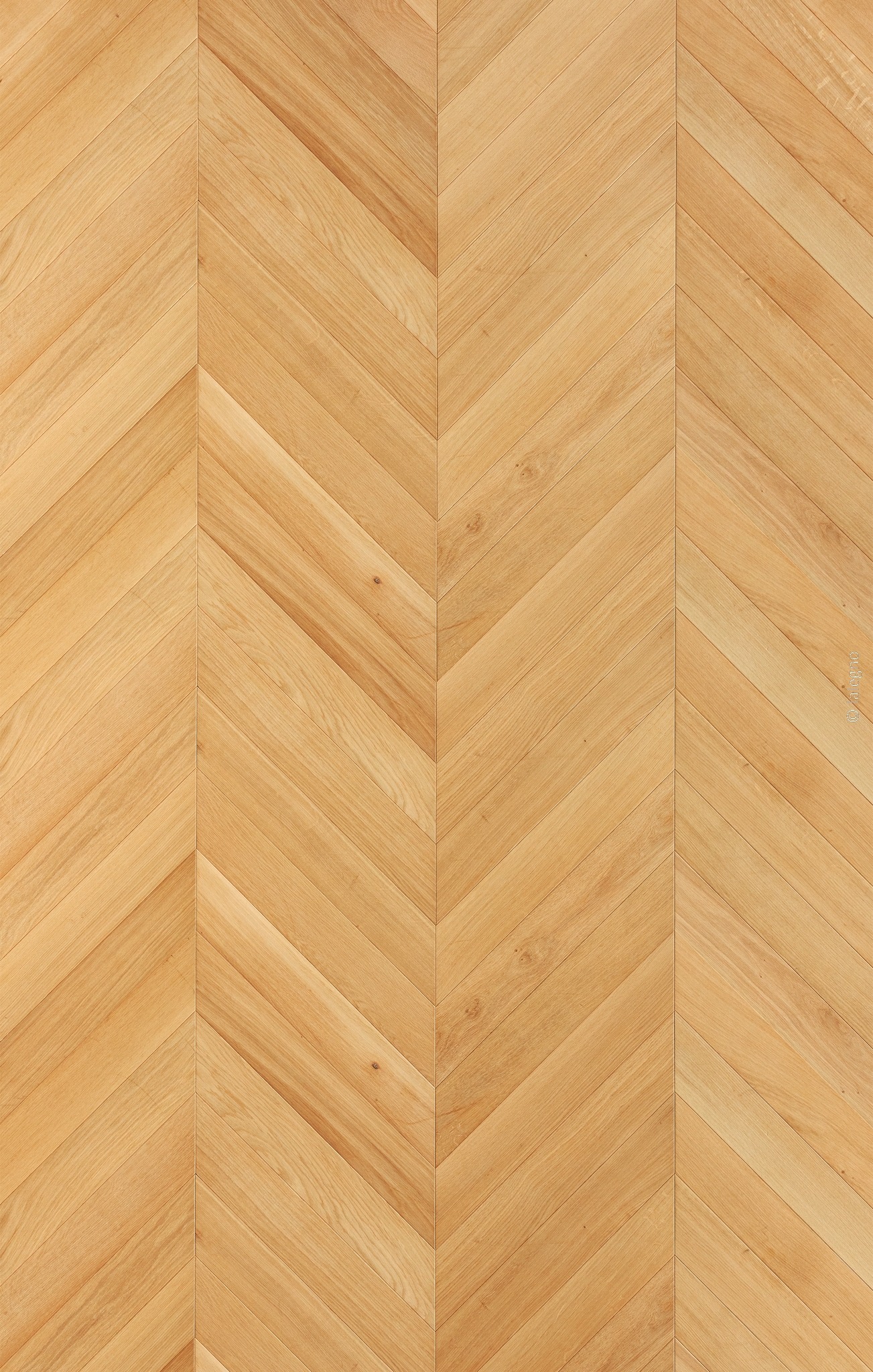 Plancher en bois de chêne clair, finition naturelle, posé en motif de parquet chevron régulier et continu. Texture du grain visible.
