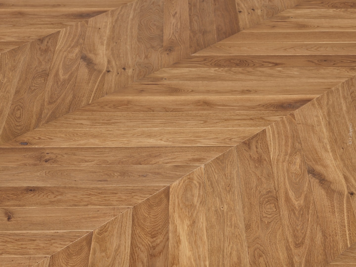 Parquet chevron en chêne naturel. Lames larges brun doré formant un motif en V prononcé. Texture du bois et nœuds visibles.