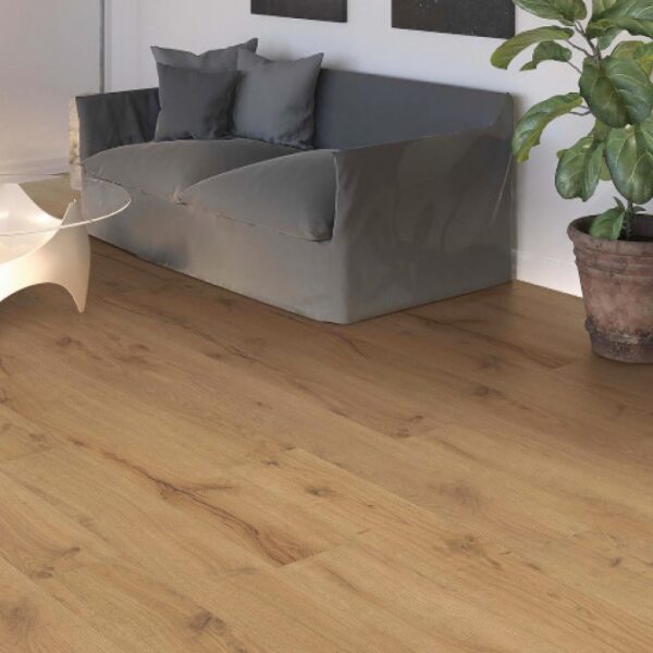 Plancher stratifié chêne naturel dans un salon moderne. Canapé gris, fauteuil design et bibliothèque sombre avec plantes vertes.