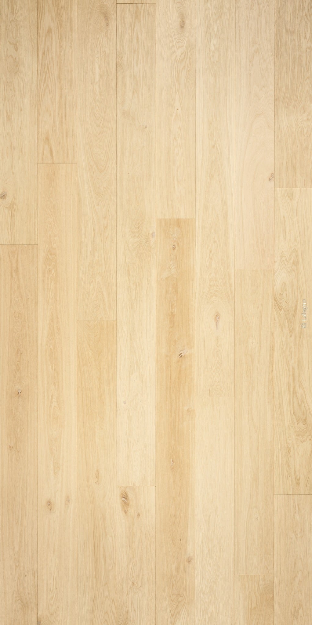 Longues lames de parquet en chêne blond, grain visible et installation moderne à joints décalés. Revêtement de sol naturel clair.