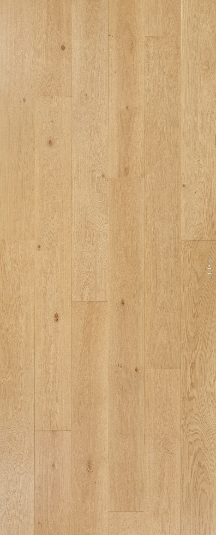 Lames de plancher en chêne naturel très clair, posées verticalement. Texture de bois brut avec grain visible et quelques petits nœuds.