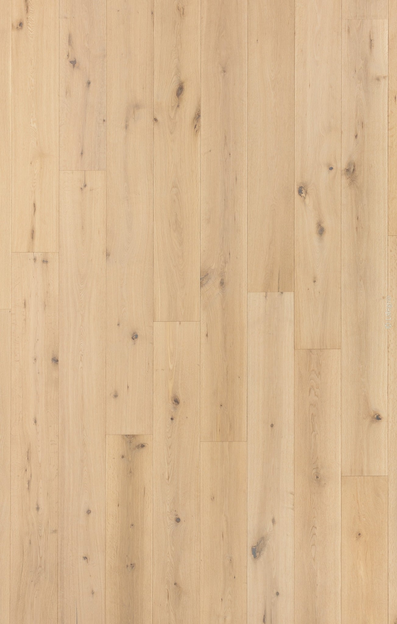 Plancher en chêne clair brossé. Lattes larges et longues avec grain vertical prononcé et plusieurs nœuds foncés. Style naturel.