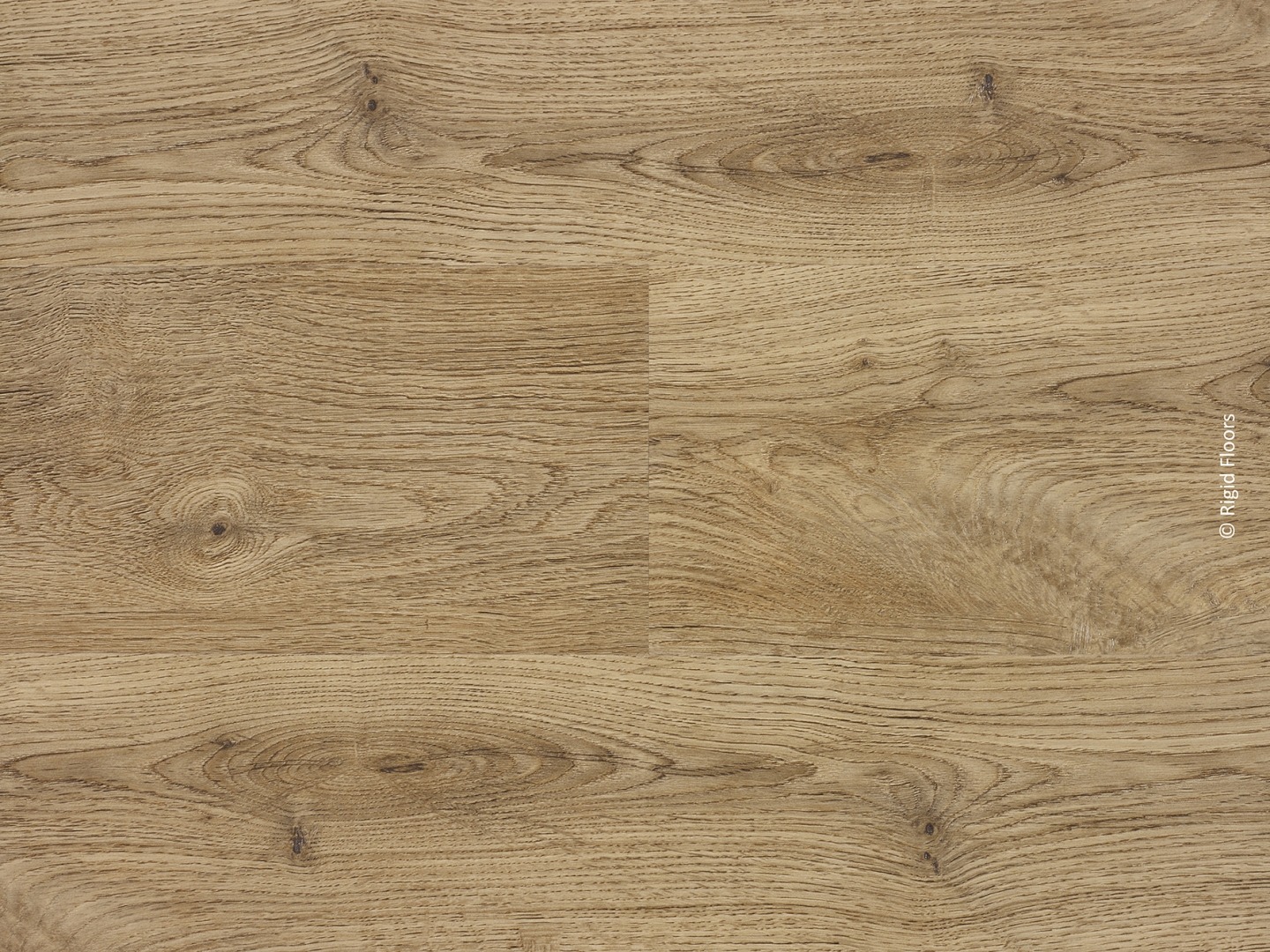 Plancher de bois clair style chêne, texture naturelle, avec des nœuds et des veines visibles. Détail des deux planches adjacentes. © Rigid Floors.