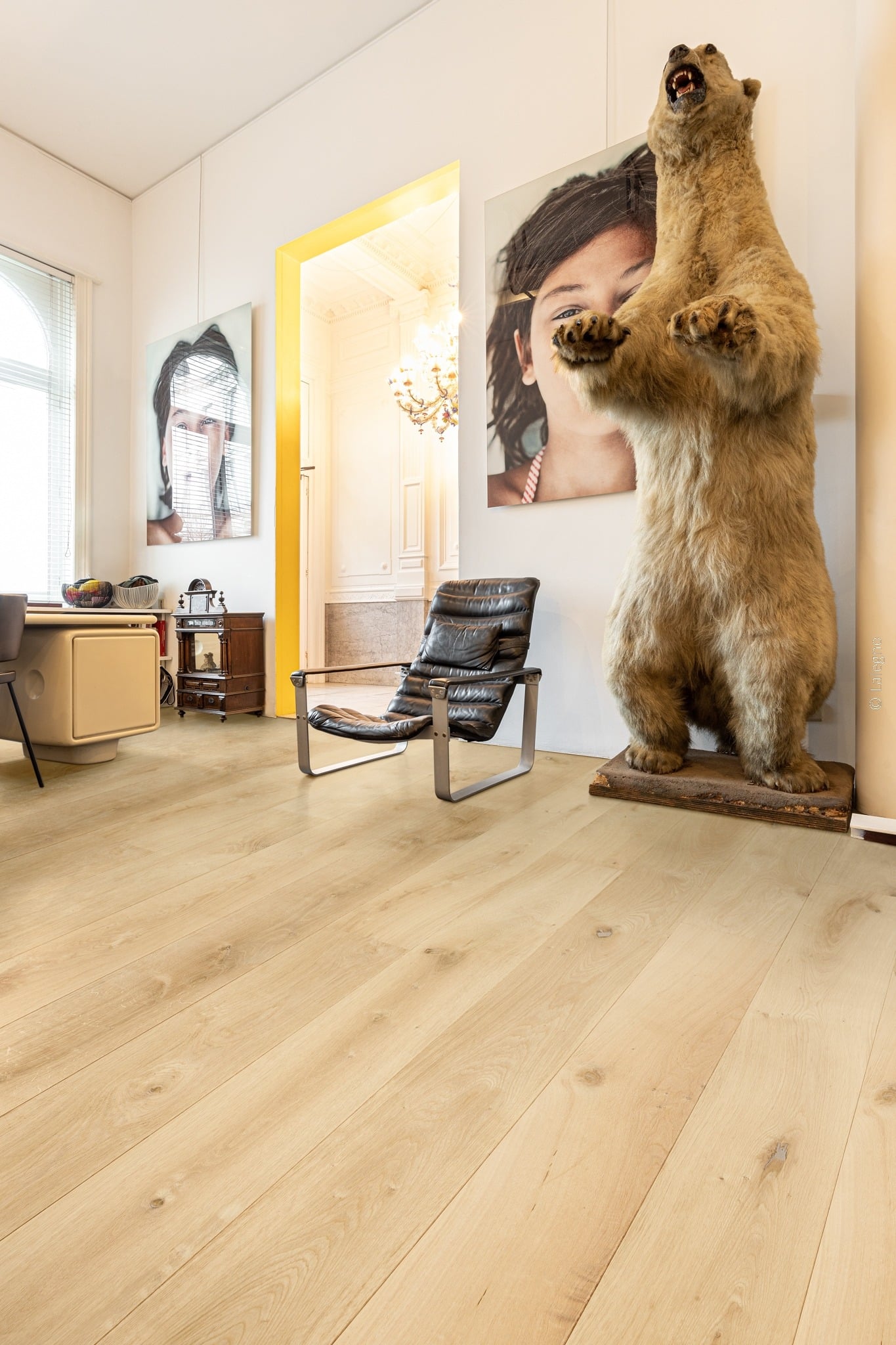 Grandes planches de plancher en bois clair sous un ours brun taxidermie rugissant, près d'un fauteuil moderne en cuir noir.
