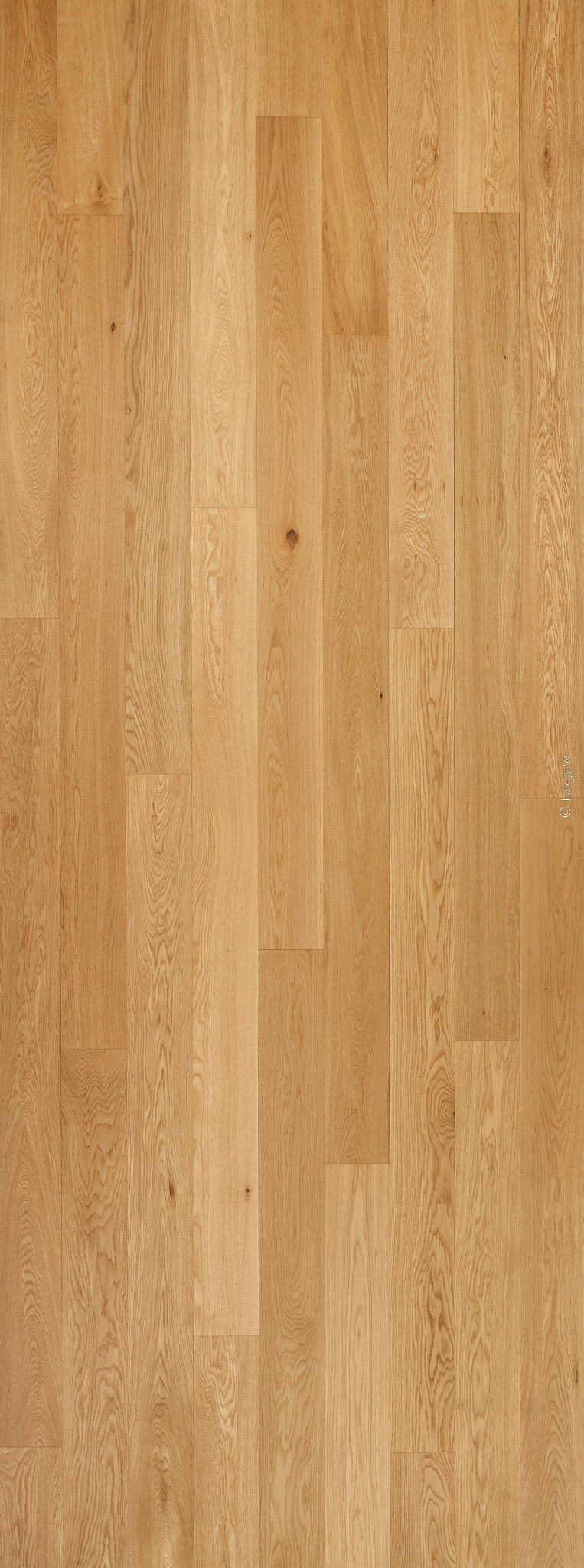 Parquet en chêne clair, lames larges monoplank, présentant un grain naturel doré et une pose décalée élégante.