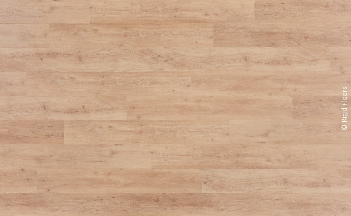 Plancher de lattes de chêne clair à grain naturel pour revêtement de sol rigide. Motif décalé. Copyright "Rigid Floors".