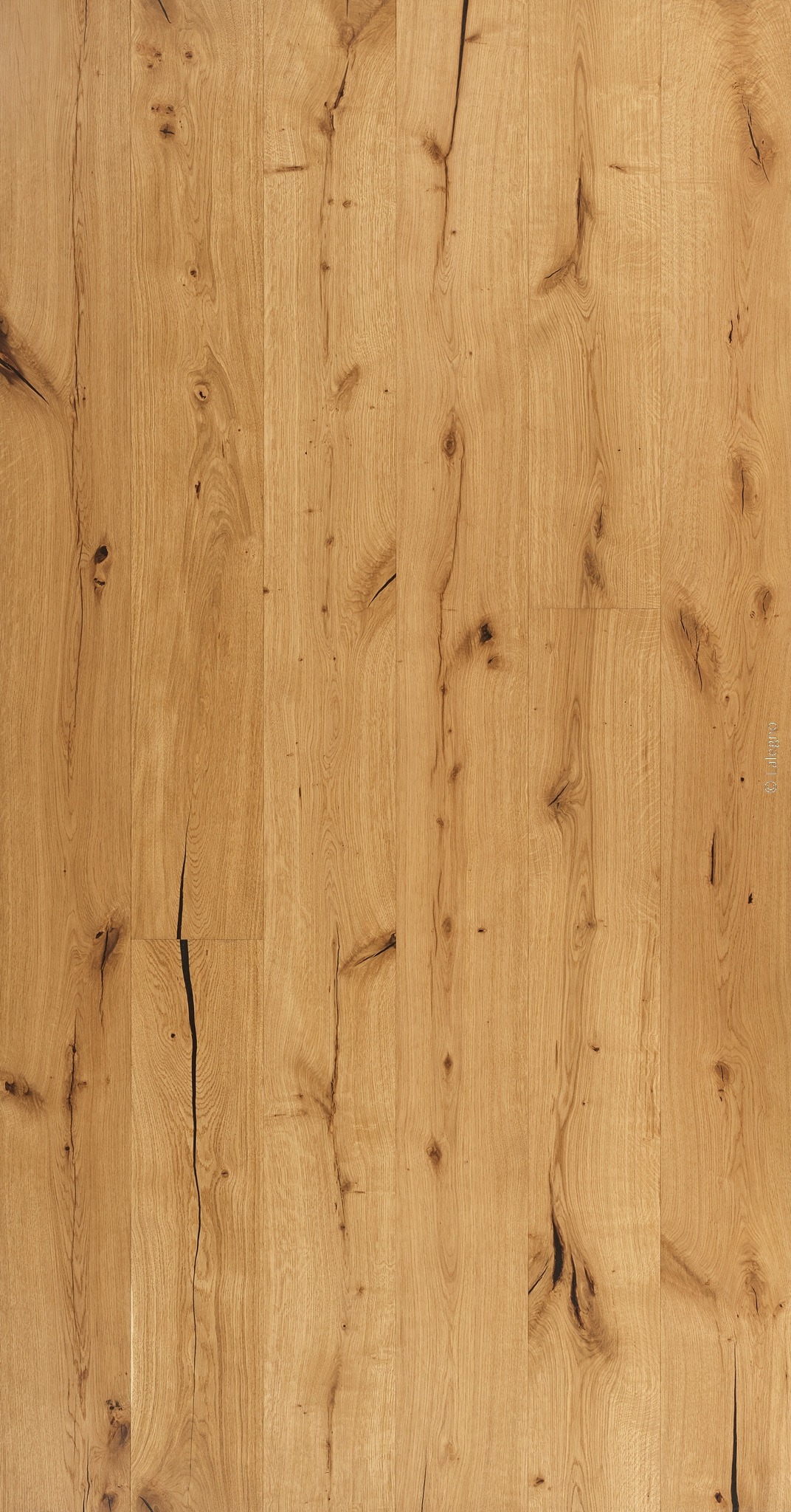 Texture de plancher en chêne rustique doré. Lames longues, grain visible, nœuds et fissures noires. Marque Falegro.