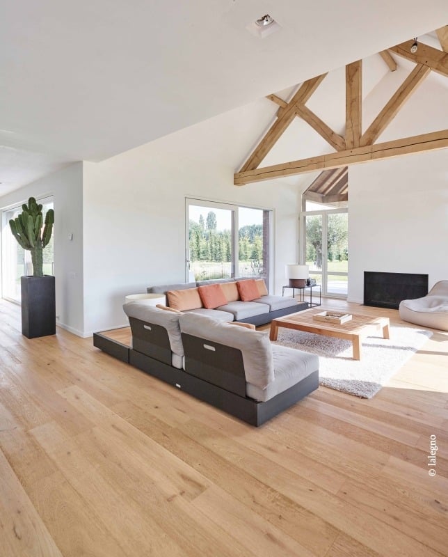 Salon moderne lumineux: plancher chêne clair, charpente bois apparente. Grand canapé gris modulaire, table basse, tapis blanc et cactus.