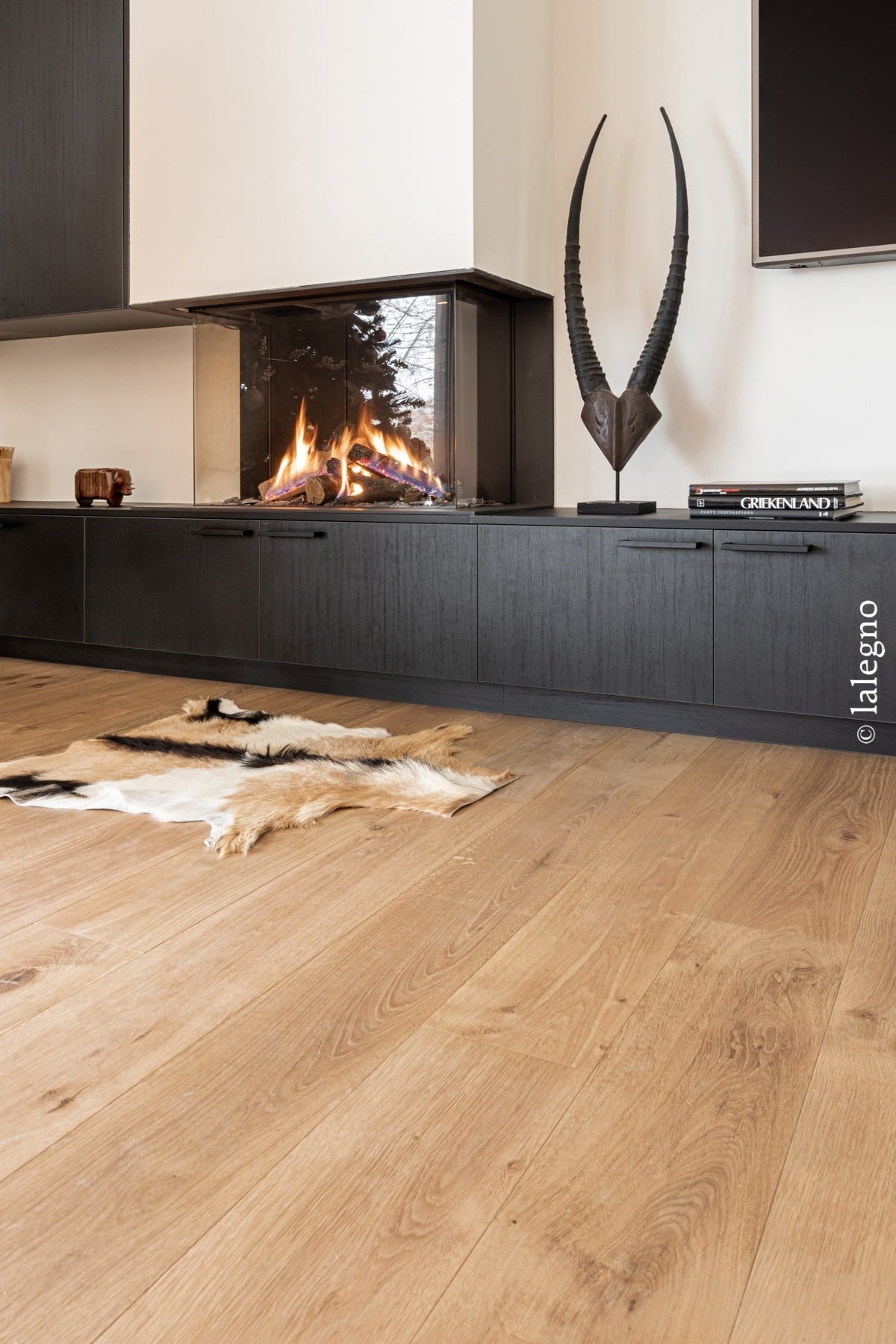 Salon moderne : parquet chêne clair, meuble bas noir, cheminée d'angle vitrée avec flammes. Peau de bête et sculpture d'antilope. Livres "GRIEKENLAND".