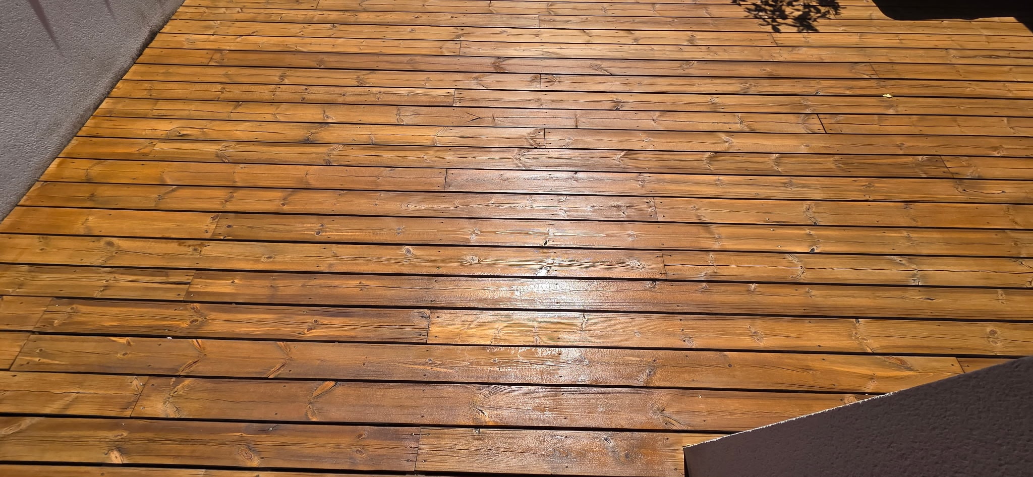 Terrasse en bois huilée brillante, lattes horizontales sous le soleil.